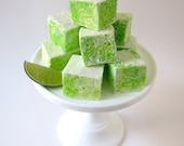 Margarita Tequila Marshmallows 1 dozen Il_170x135