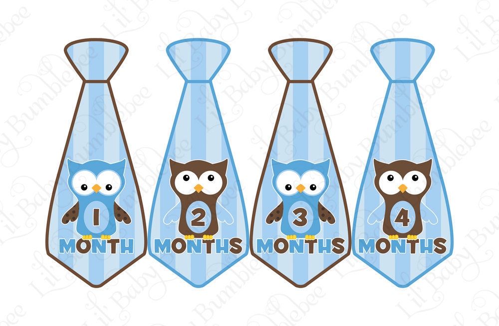 Tie Monthly Onesie Stickers - Everett - Blue and Brown Adorable Owls - Great Photo Prop and Baby Shower Gift Baby Month Stickers