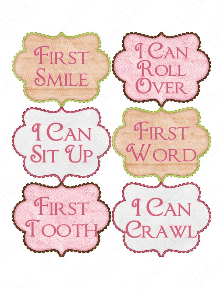 Baby Milestone Onesie Stickers for Girls - Great Baby Shower Gifts and Photo Props - Baby's Firsts - Brianna Style