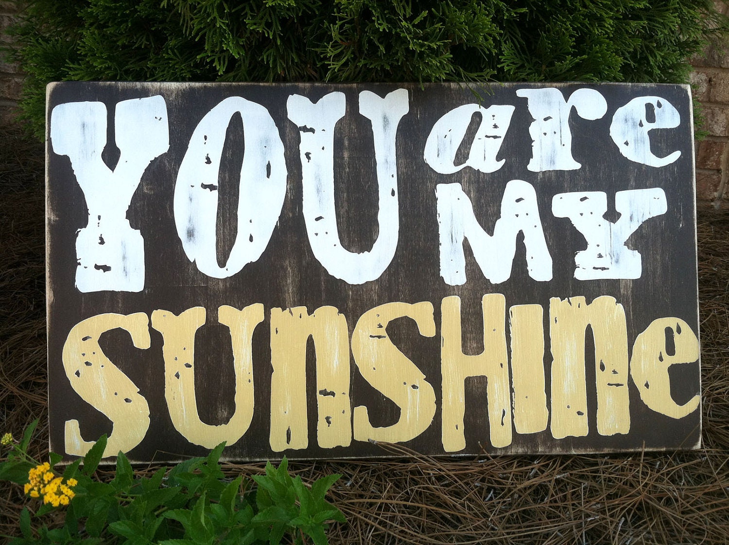 You Are My Sunshine - Rustic - Two Color Text - Subway Sign -  24"X14" - Hand Painted and Distressed