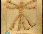 11" x 14" Open Edition Print - "Vitruvian Man"