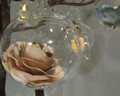 Hanging Glass Terrariums- Set of 4