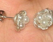 Bird's Nest Earrings