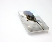 iphone 5 Case, iphone 4 Case, iphone 4s Case, Winter iphone 5 case, Spring, Plastic iphone 4 case,  White, Cover