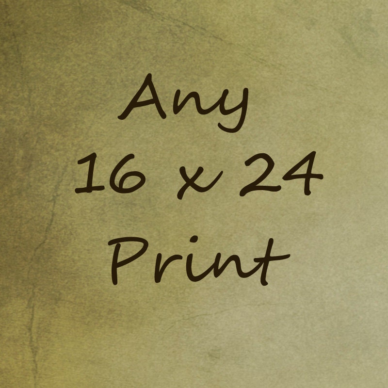 Any Photograph 16x24 You Choose Any Print Nature Beach Landscape Tree Carnival Still Life Large Wall Decor