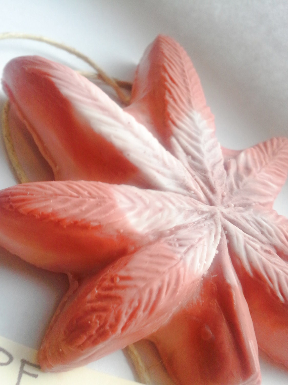 Dope on a Rope Soap - Panama Red - Hemp Oil Soap - Sage and Cedar Essential Oil - Hippy Bohemian Retro - Fathers Day -420 Gifts
