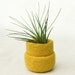 Felted bowl Mustard yellow  - Cozy little storage - block color nesting wool bowls set of two - air plant holder
