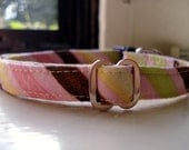 Asymmetrical Stripes - Eco Cat Collar