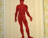 Quilled Full Figure Muscle Structure, Fine art anatomical diagram, framed quilled fine art, doctor decor