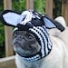 Zazzy Zebra Dog Hat / Made To Order