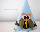 Felt Party Hat, Owl Birthday Party, Boy Party Accessories