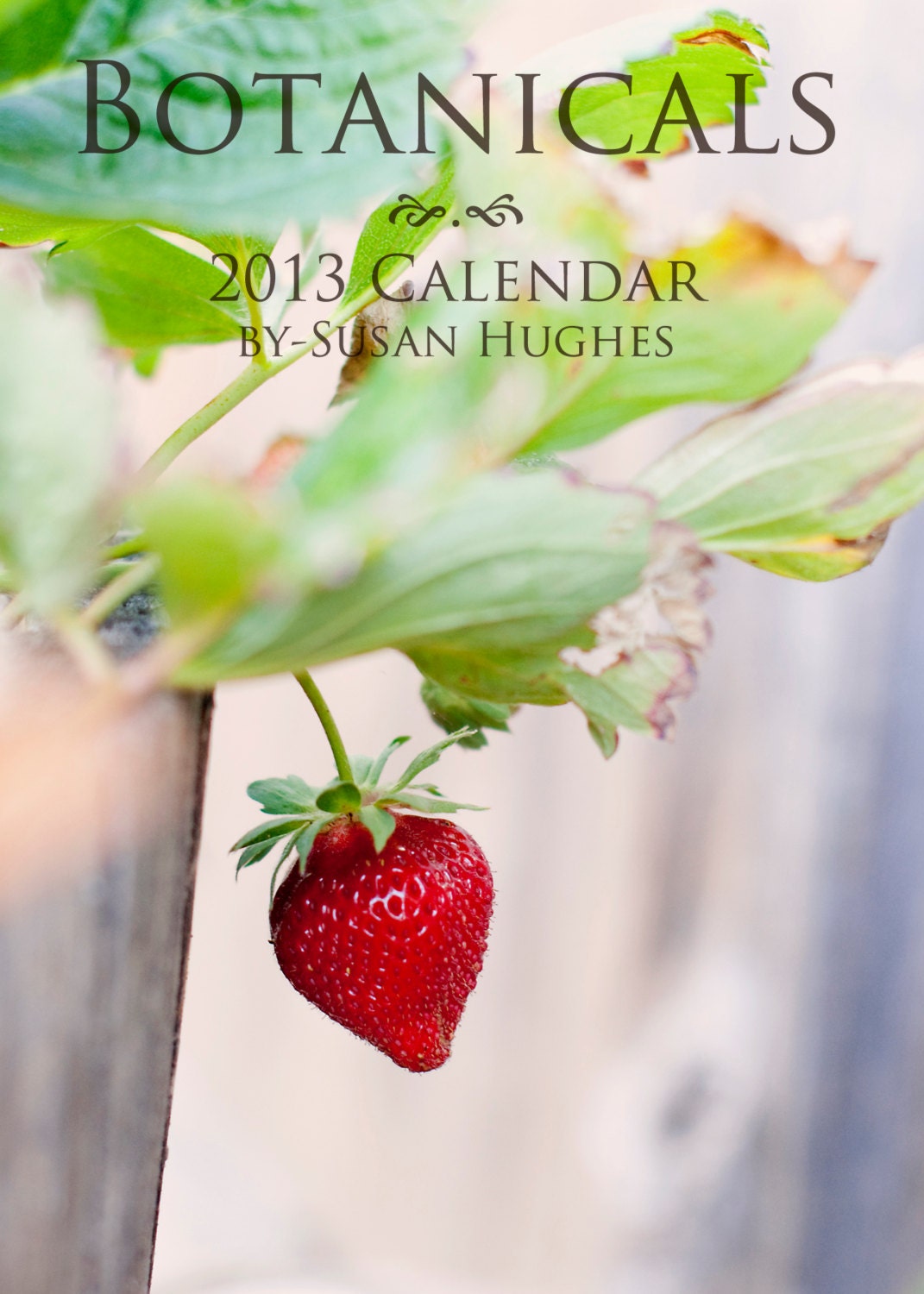 2013 desk calendar - 5" x 7" nature photography - kitchen wall art - botanical wall decor - gifts under 25