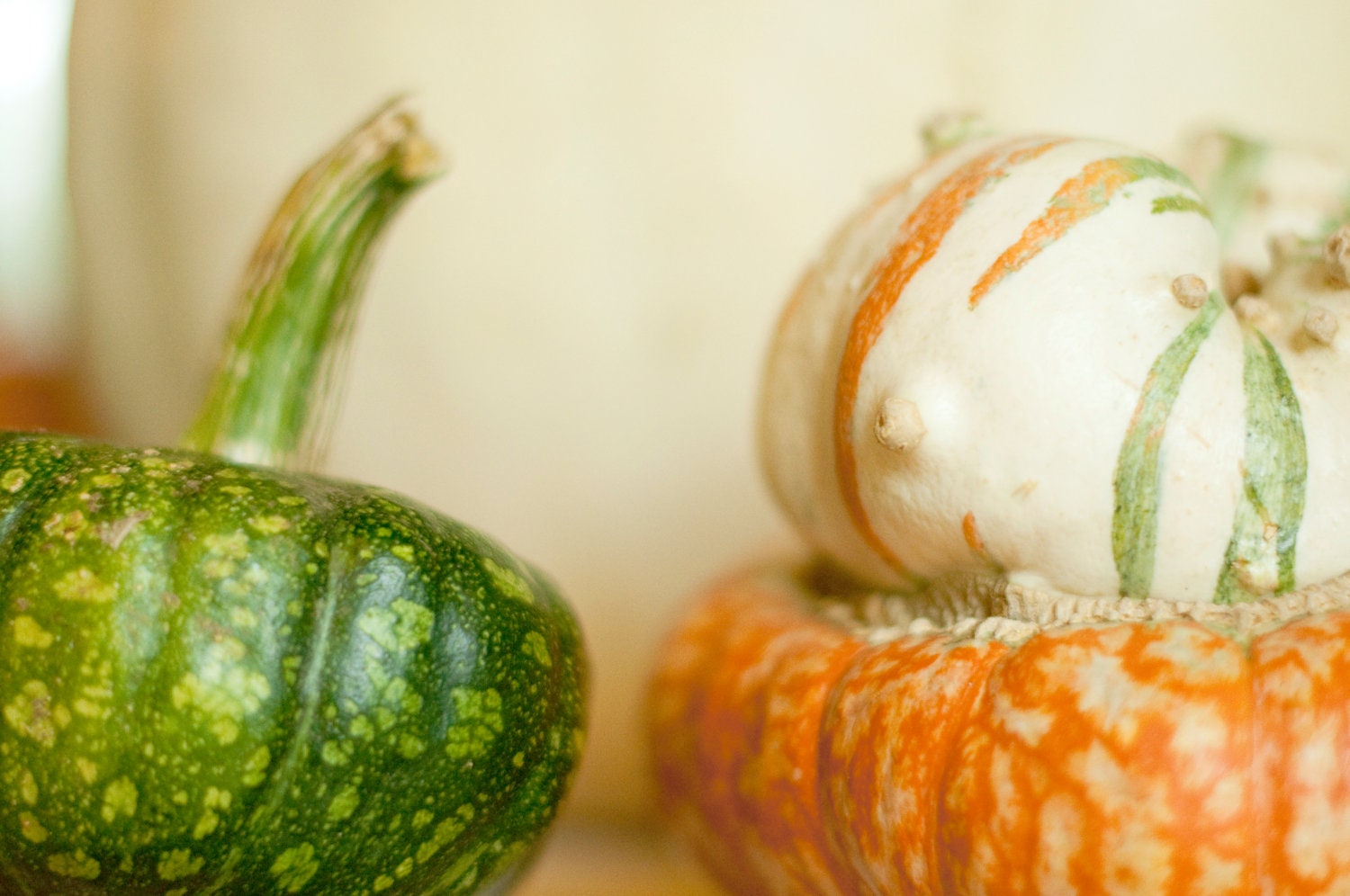 Fine Art Photo Print - Country Pumpkin in New england autumn - Fall Nursery Wall Art - kitchen Home Decor - 8 x 10