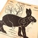 Vintage Winchester Jack Rabbit Shooting Target (12 x 9 inches) - Collectible, Home Decor, Paper Projects, and more