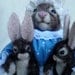 Mom and Bunnies,  Needle felted, Collectible, OOAK by Grannancan