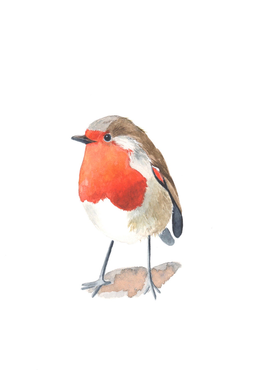 Robin painting - R002 Print of watercolor painting 5 by 7
