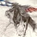 Freedom Stride, Pencil, Colored Pencil Drawing