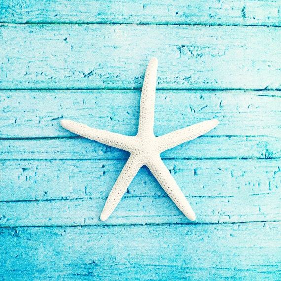 Beach Photography - starfish aqua blue - white photo print - seashore coastal living - cottage decor - 8x8 Photograph, "On the Boardwalk"