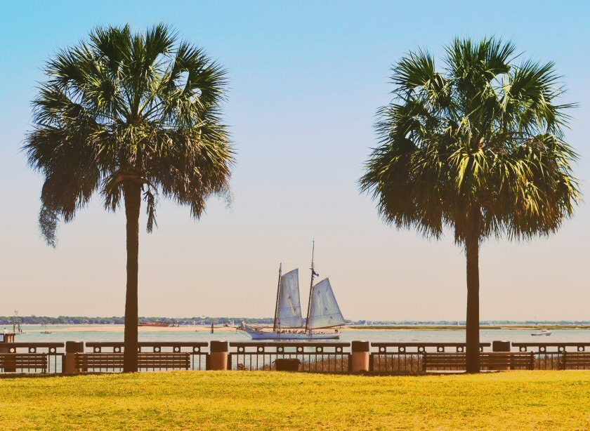 Charleston Harbor Sailboat Palmetto Trees 11x14 Fine Art Print