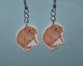 Oh, You Dog Meme Dangle Earrings