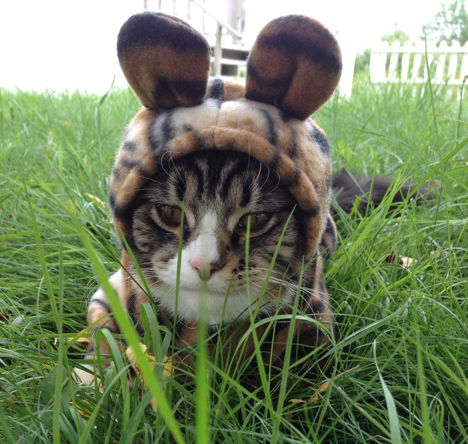 Custom Tiger Dog/Cat Costume / Pjs