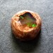 Fire Opal or Mexican Cantara Opal, a dainty delight wrapped in its pretty apricot colored matrix
