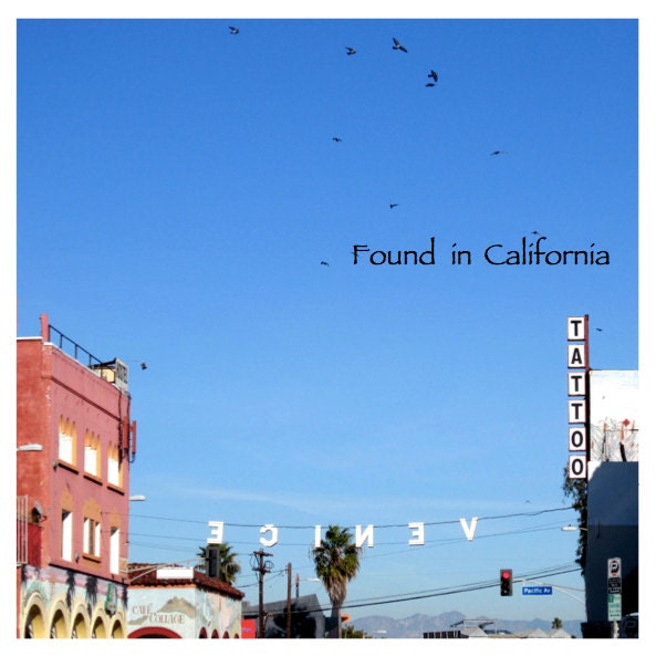 Venice Beach Photograph, Venice Sign, Ca, Fine Art Photography, 8x8 Print, Matte Photography Print, Photography of Venice, Beach Photograph