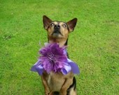 Satin & Floral Wedding - Flower Dog Collar - Corsage - Dog Ring Bearer Collar - Purple flower - Dog Bow Tie