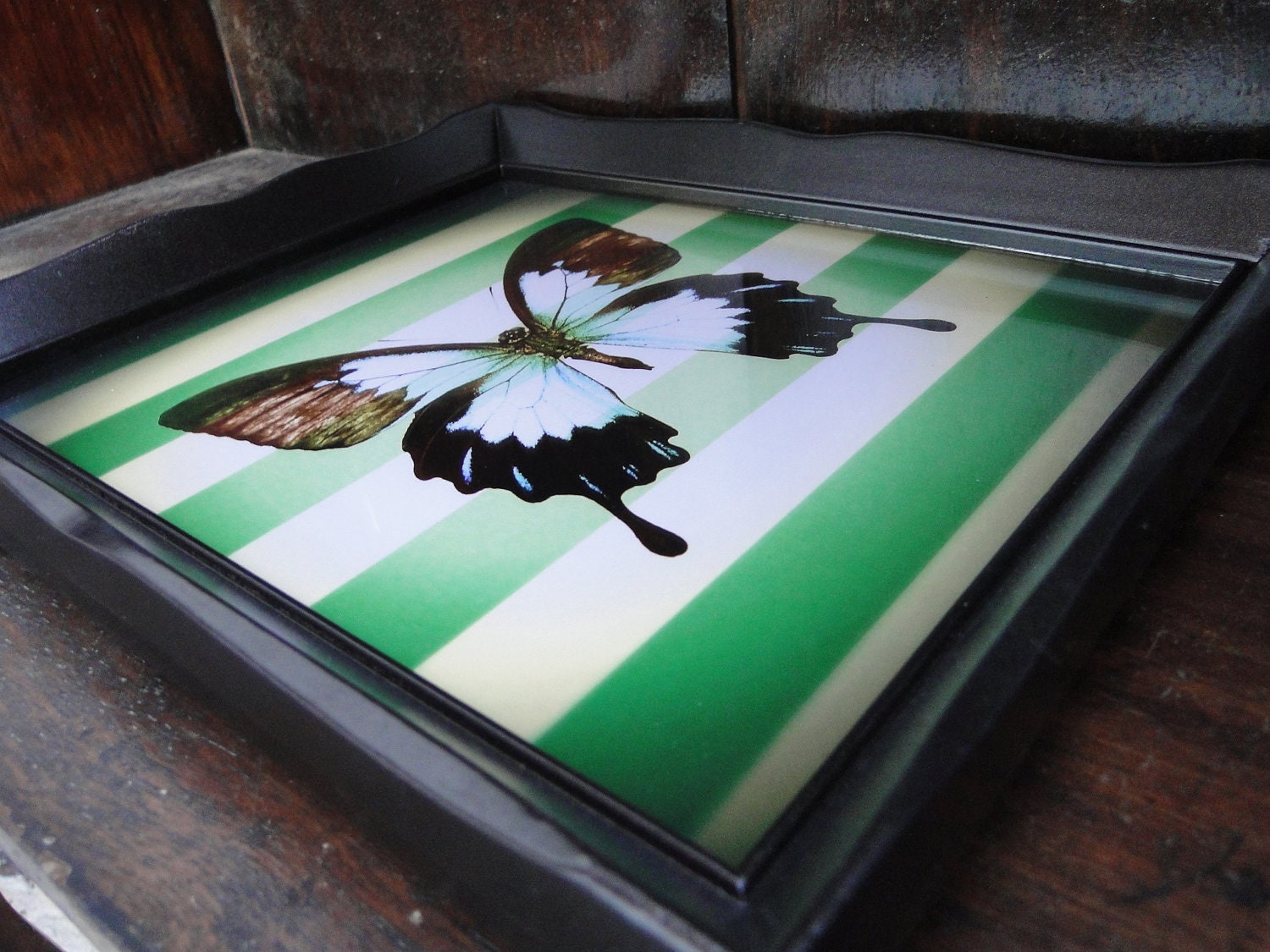 Framed Art Print "Vintage Butterfly" Green White Stripe Oil Rubbed Bronze Frame Blue Butterfly