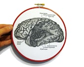 Brain anatomy diagram in embroidery hoop