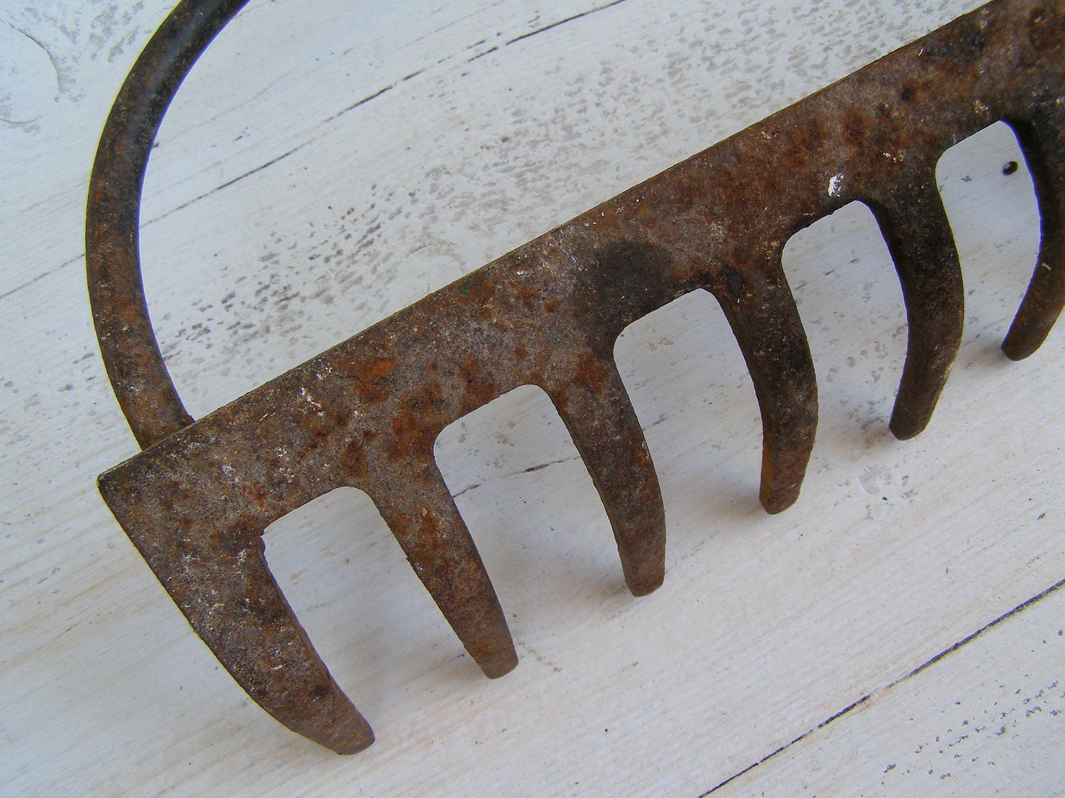 Vintage Iron Rake head, Salvaged rusted Rake, Alternative iron Rack, organizer, garden, collection Display, Autumn fall