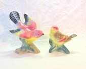 Vintage Pair Birds Planters Figures Statues Rose Teal Black Bird Watchers Collectable Garden Nature Home Decor