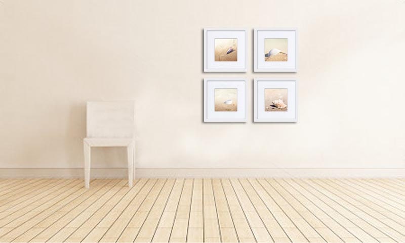 Photography print set ocean beach nautical decor sea shell set 5x5 inch  pastel gold beach photography wall art sand summer macro photo