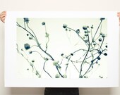 Large Canvas Print Minimalist Black and White 20x30 Zen Botanicals contemporary gift for man