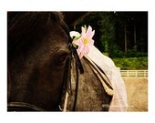 Miss Kuro, Photograph Print