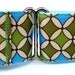 Green and Blue Martingale Collar 1.5" Martingale Dog Collar