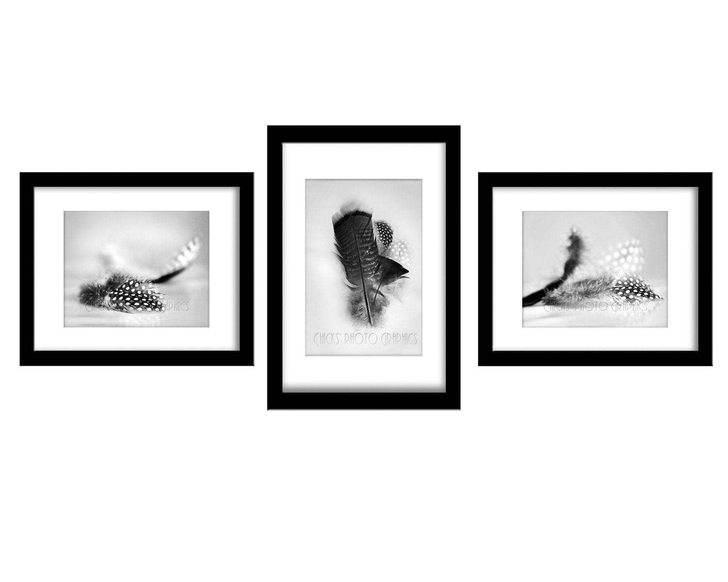 Black & White Feather Photos, Set of 3 Photos, Prints, Collection, Turkey, Wild, Bouquet, "A Study in Feathers Set of Three"
