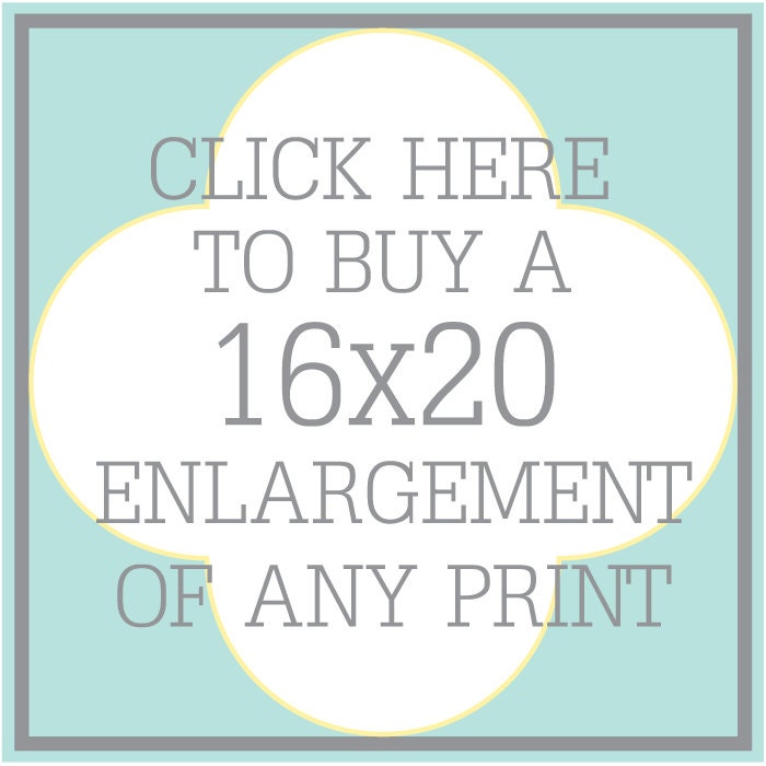 16x20 (Poster Size) Personalized Birth Stats Print (Click Here to Buy Any Print in 16x20)