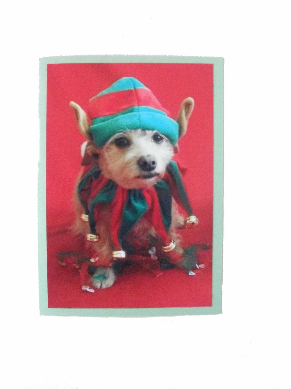 Elf Dog Photo Christmas Card