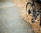 Bikes and Fall Leaves - a 5x7 film print - hisampersandhers