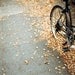 Bikes and Fall Leaves - a 5x7 film print