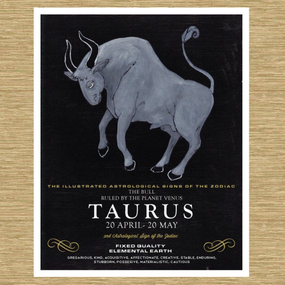 Illustrated Zodiac Taurus the Bull 8" x 10"