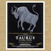 Illustrated Zodiac Taurus the Bull 8" x 10"