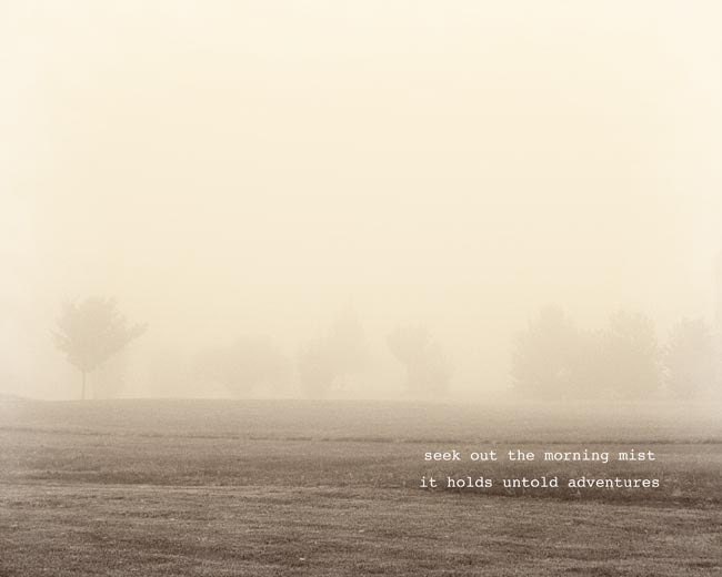 Neutral photograph creamy white morning mist and brown trees in a field, 8x10 fine art photo
