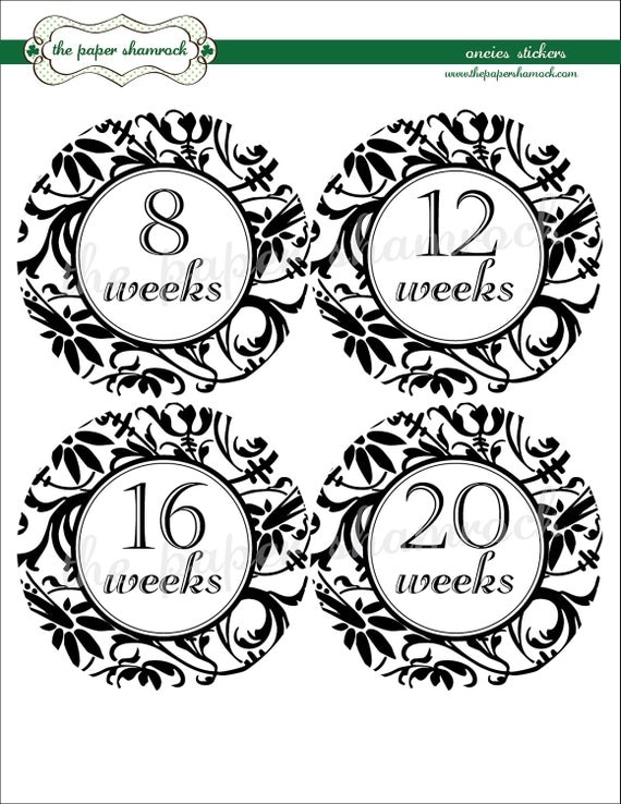 Damask Baby Bump Stickers, Pregnancy Stickers, Week Stickers Il_570xn