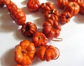 Mini Pumpkin Garland - Natural Dried Putka Pod Garland