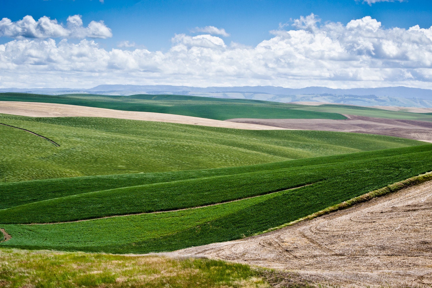 Rolling Green Hills, 12 x 18, Landscape Photography