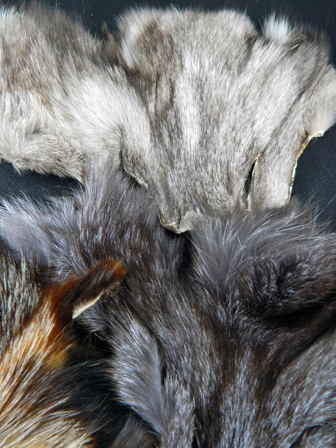Mixed RACCOON and FOX Lot of 3 Fur Faces Arctic Store Arktika Russia