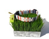 Dog collar "Get Preppy"  in orange, white and blue stripe...Any size...