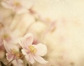 Pastel Flower Photography 8x10, Soft Romantic Decor, Wall Art For Her, Dreamy Floral Home Decor, Baby Girl Nursery Photograph